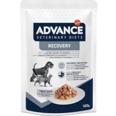 ADVANCE perro y gato dieta recovery pouch 100 gr