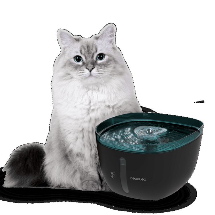 CECOTEC Fuente automatica Pumba 3200 refresh inox