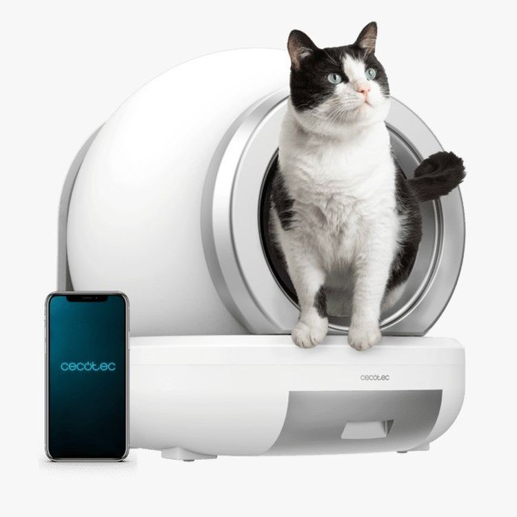 CECOTEC Arenero Pumba 7000 cleankitty smart