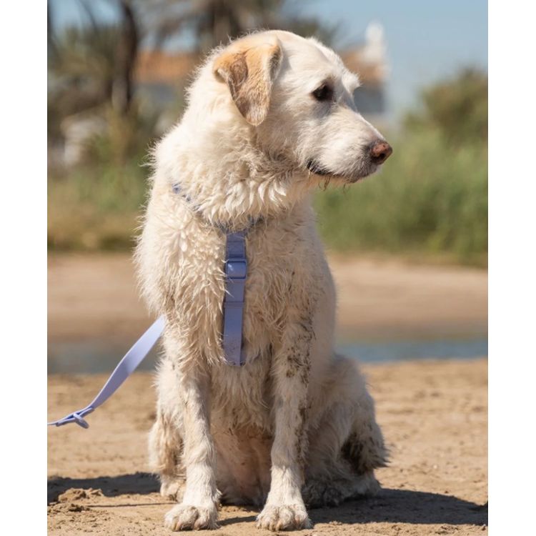 DUKIER perro arnes clasico waterproof lavanda