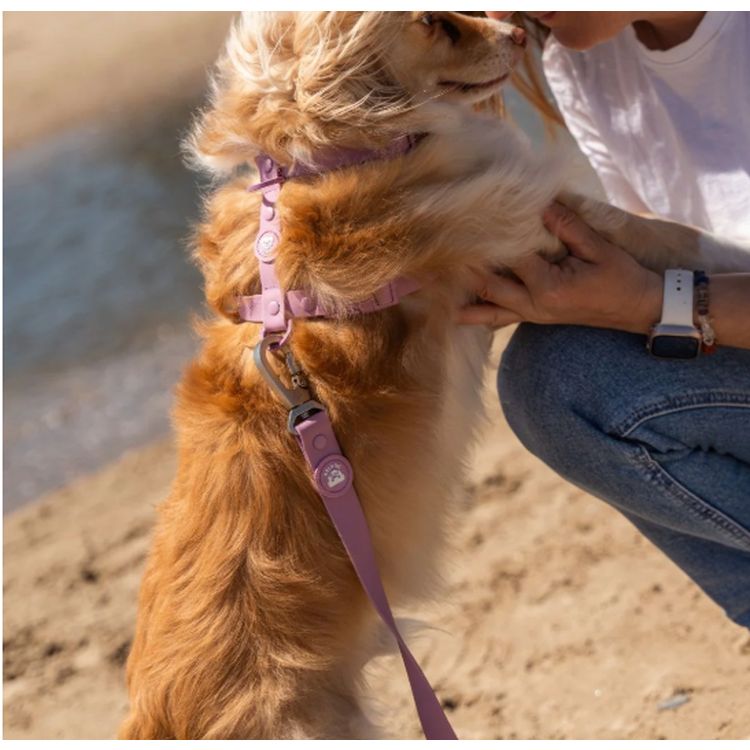 DUKIER perro arnes clasico waterproof malva