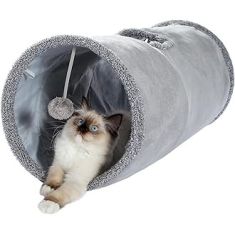 AFP gato tunel Lambswool 25x25x120 cm gris