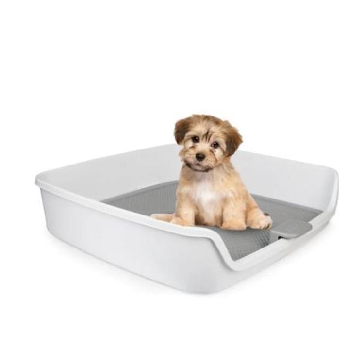 AFP perro base empapadora Go Fresh