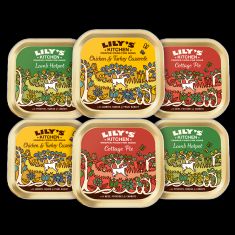 LILY'S KITCHEN perro adulto Classic dinner tarrina 6x150 gr