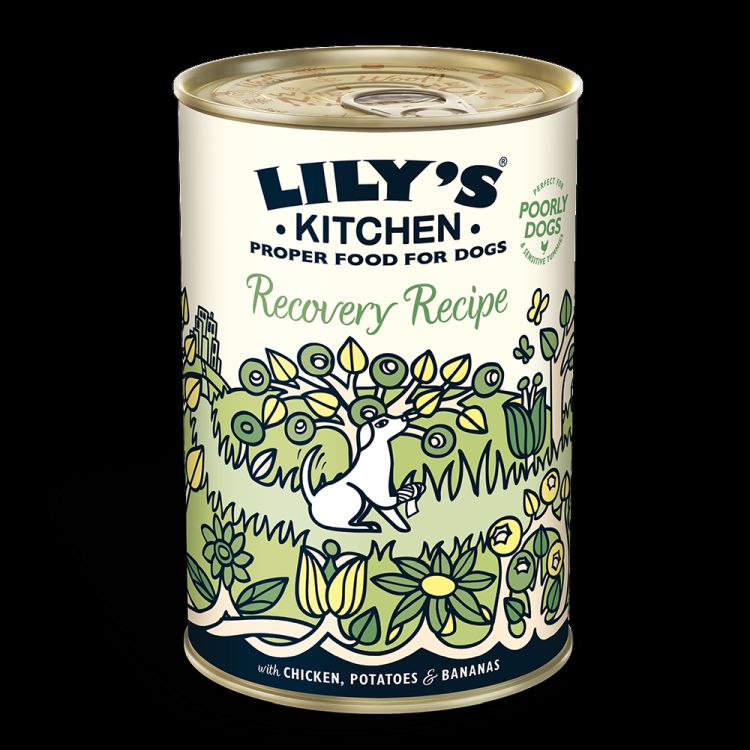 LILY'S KITCHEN perro adulto Recovery recipe lata 400 gr