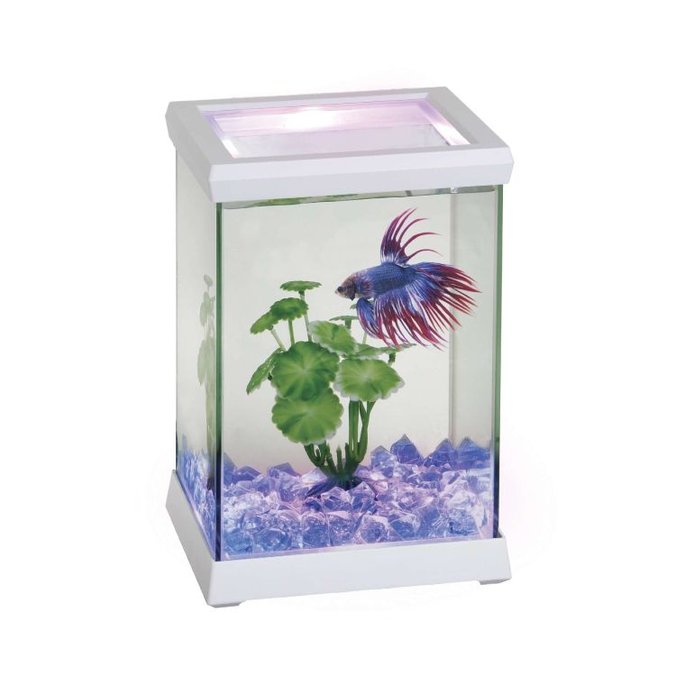 ICA Betta space led kit 4.95 L