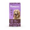 BANTERS perro adulto cordero 15 kg