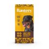 BANTERS perro adulto pollo large 15 kg