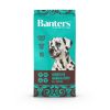 BANTERS perro adulto sensitive salmon 3 kg