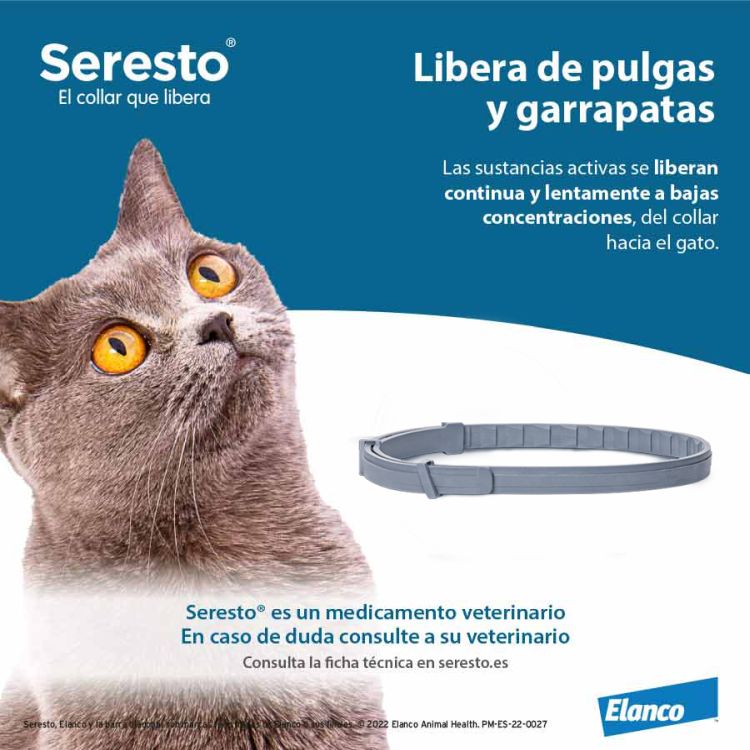 SERESTO gato collar 38 cm bolsa