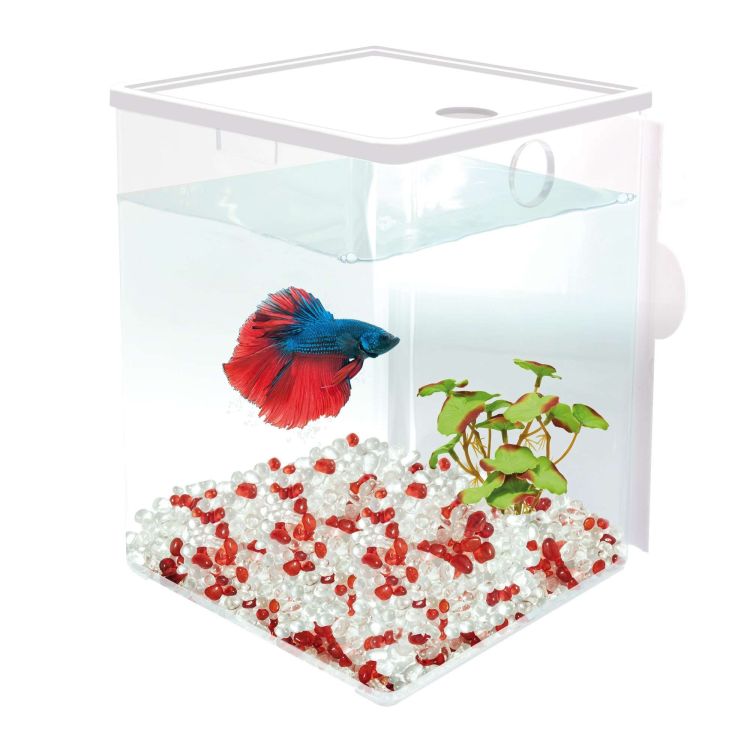 ICA Bettaworld kit de iniciación Cube 12x12x15 cm