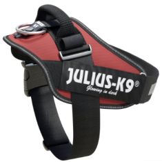 JULIUS K9 IDC burdeos
