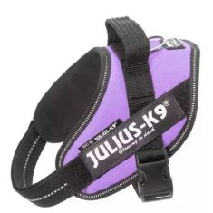 JULIUS K9 IDC purpura