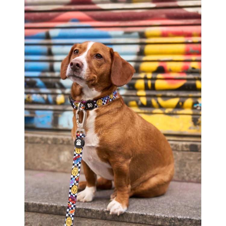 DUKIER perro collar Grunge
