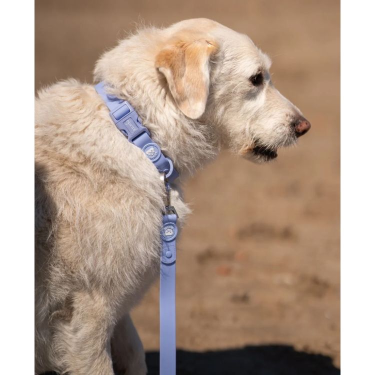 DUKIER perro collar waterproof lavanda