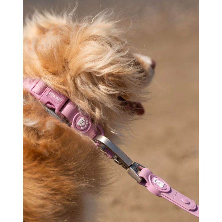 DUKIER perro collar waterproof malva