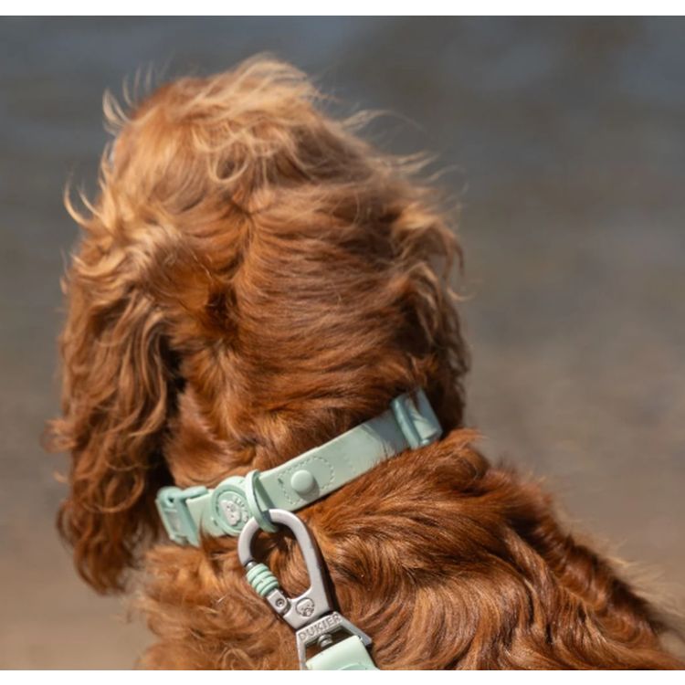 DUKIER perro collar waterproof pistacho