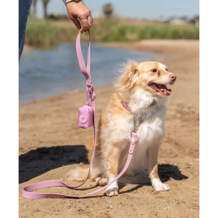 DUKIER perro correa waterproof malva