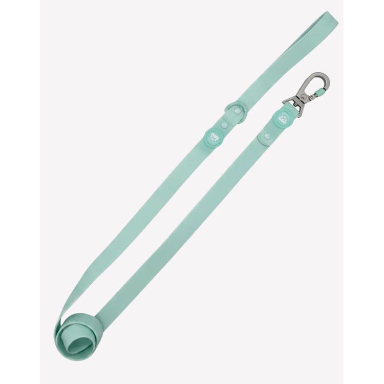 DUKIER perro correa waterproof pistacho