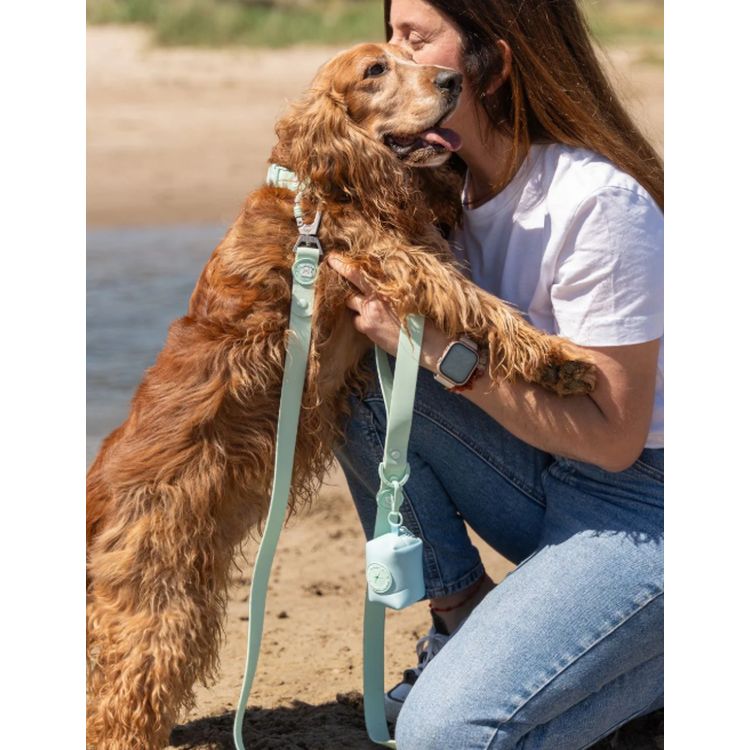 DUKIER perro correa waterproof pistacho