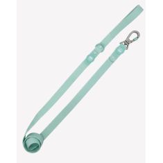DUKIER perro correa waterproof pistacho