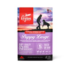 ORIJEN perro puppy Large breed