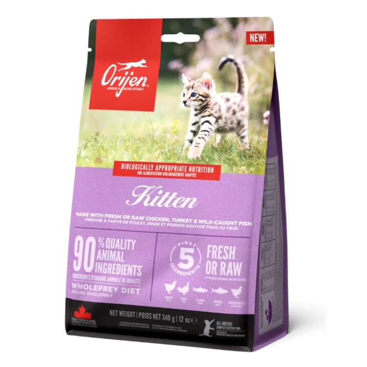ORIJEN gato Kitten