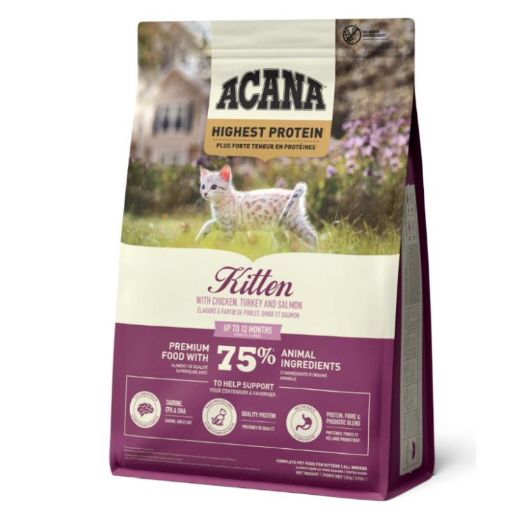 ACANA gato Kitten