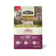 ACANA gato Kitten