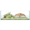 ICA Repti Selva tortuguera kit Isla 80x50x25 cm