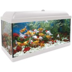 ICA Aqualed kit interior 100