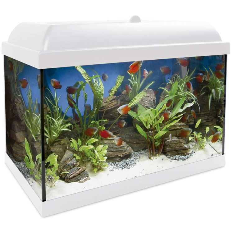 ICA Aqualed kit interior 25