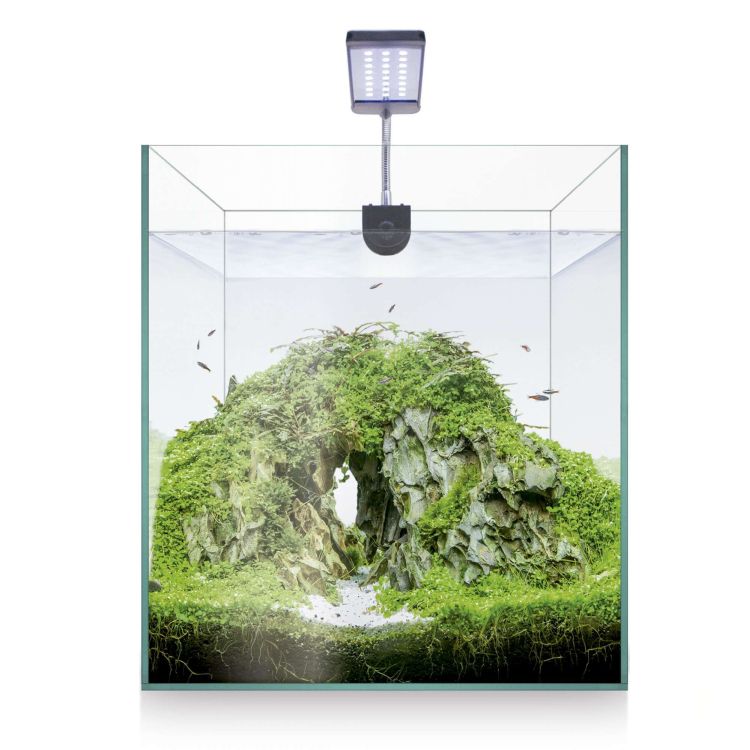 ICA Aquascape nano kit RGB 25x25 cm