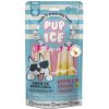 PUP ICE perro snack polo fresa platano 2 uds