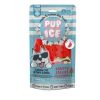 PUP ICE perro snack helado sandia 3 uds