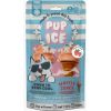 PUP ICE perro snack cono fresa 2 uds