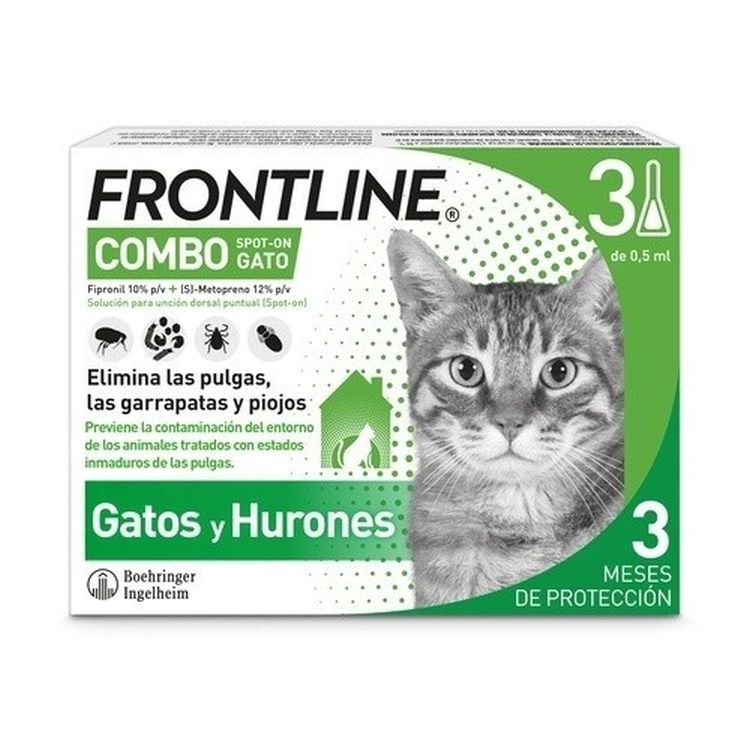 FRONTLINE combo gato