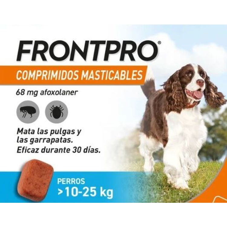 FRONTPRO