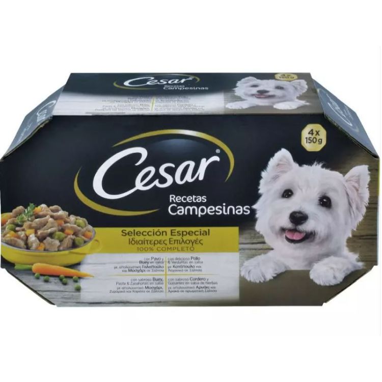 CESAR perro adulto cordero guisante tarrina 4x150 gr