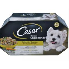 CESAR perro adulto cordero guisante tarrina 4x150 gr
