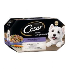 CESAR perro adulto campesina tarrina 8x150 gr