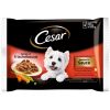 CESAR perro adulto salsa pouch 4x100 gr