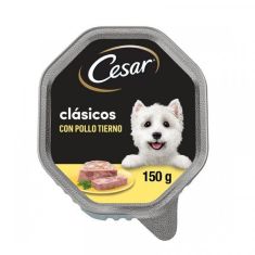 CESAR perro adulto pollo pate tarrina 150 gr