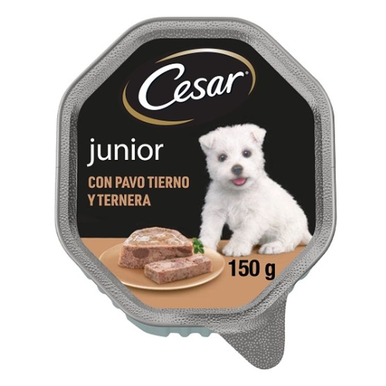 CESAR perro cachorro pavo ternera tarrina 150 gr