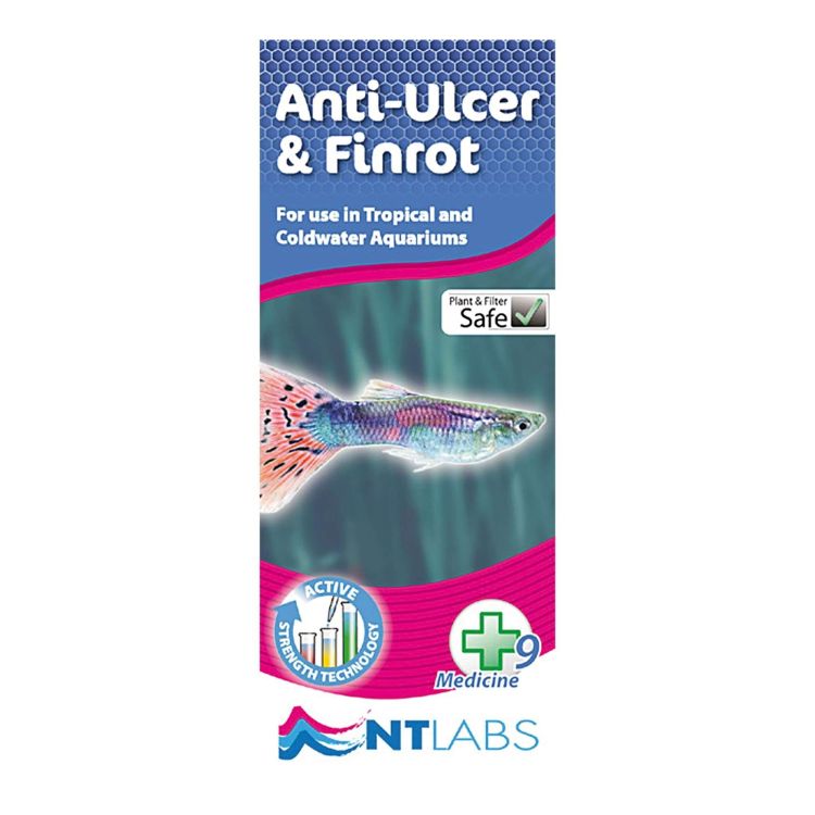ICA NT tratamiento anti úlceras 100 ml