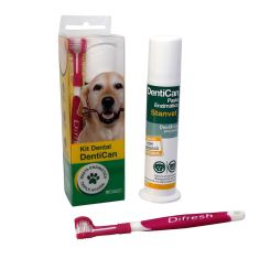 STANGEST dentican kit dental