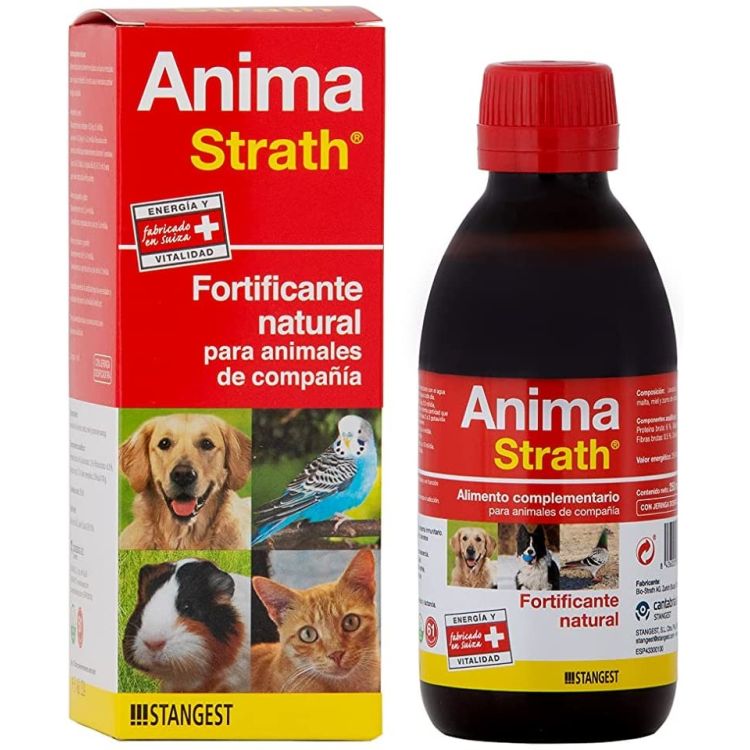 STANGEST anima strath