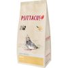 PSITTACUS papilla mini 1 kg
