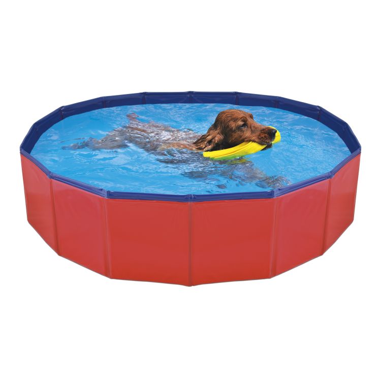 NAYECO perro piscina