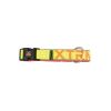 NAYECO perro collar X-trm neon flash limon 45-55 cm